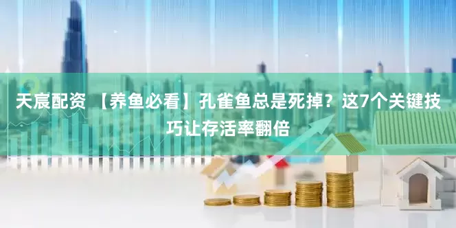 天宸配资 【养鱼必看】孔雀鱼总是死掉？这7个关键技巧让存活率翻倍
