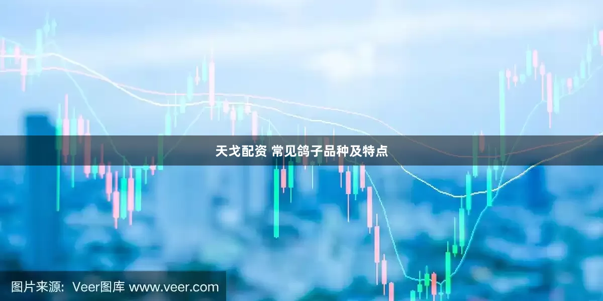 天戈配资 常见鸽子品种及特点