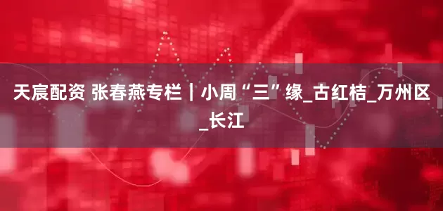 天宸配资 张春燕专栏｜小周“三”缘_古红桔_万州区_长江