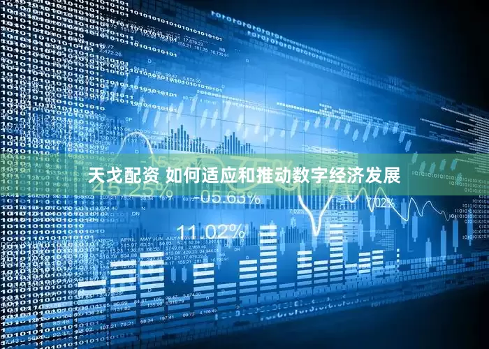 天戈配资 如何适应和推动数字经济发展