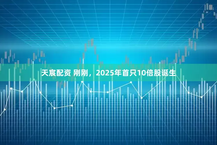 天宸配资 刚刚，2025年首只10倍股诞生