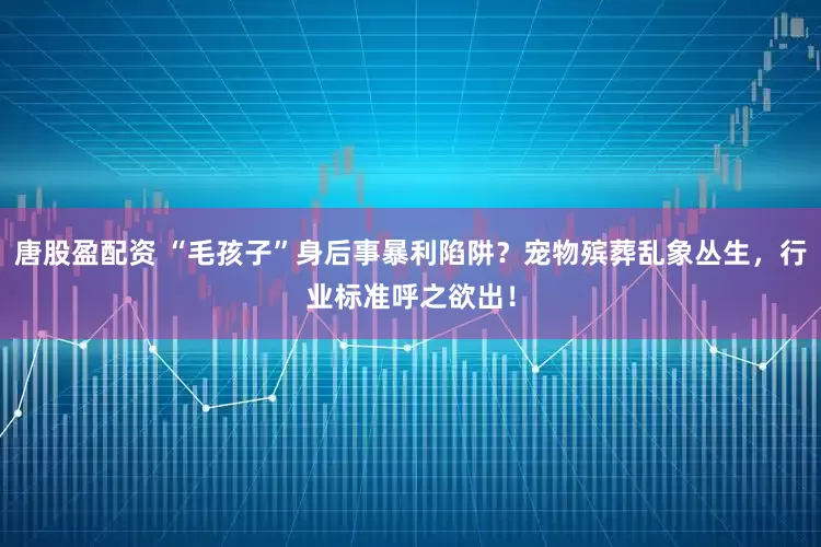 唐股盈配资 “毛孩子”身后事暴利陷阱？宠物殡葬乱象丛生，行业标准呼之欲出！