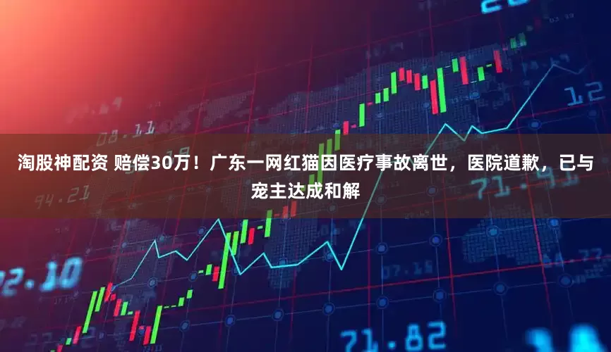 淘股神配资 赔偿30万!广东一网红猫因医疗事故离世,医院道歉,已与宠主达成和解
